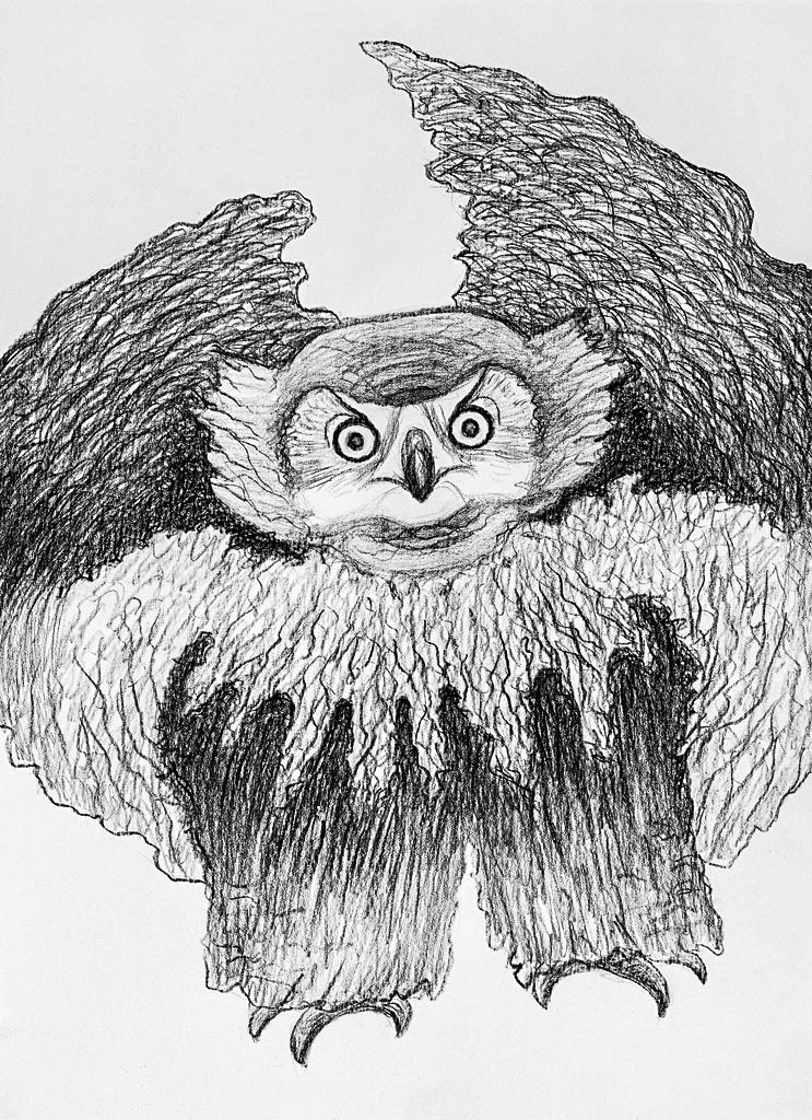 Eagle-owl (Chinese pen)  400 x 300