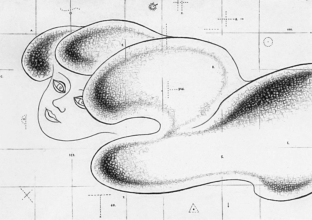 Je reviendrai (cliché-verre)  650 x 900