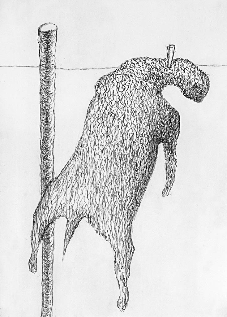 La peau (cliché-verre)  400 x 300