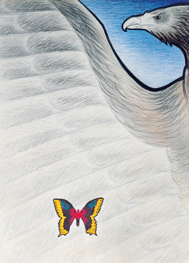 L’aigle et le papillon  (crayon de couleur 40X30)