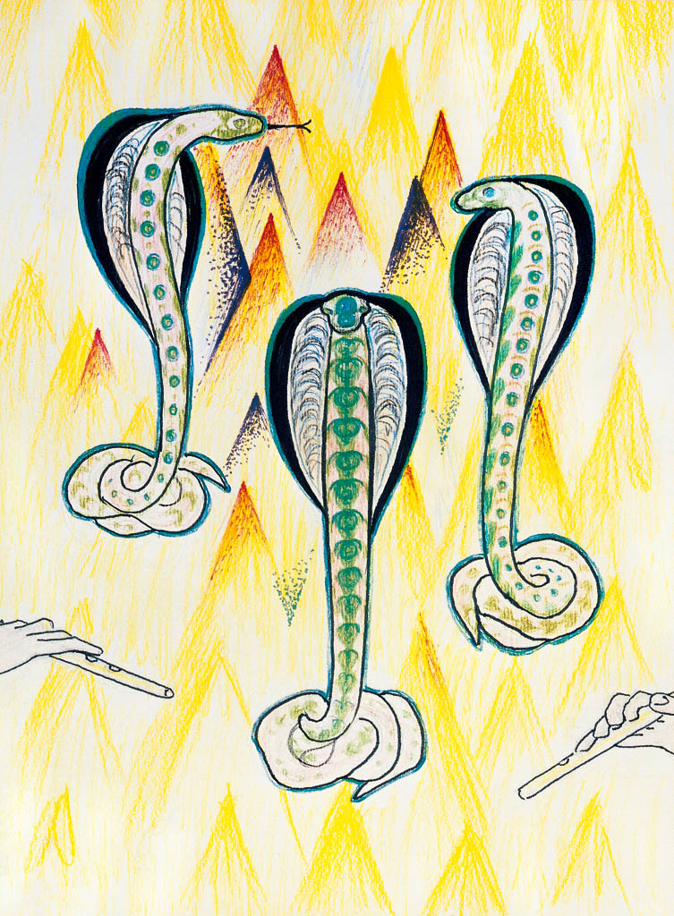 Les serpents  (crayon de couleur 40X30)