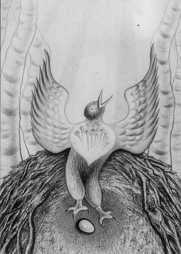 Le premier oeuf (cliché-verre, charbon)  850 x 650