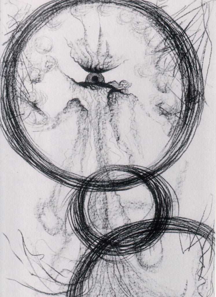 Je regarde à travers les fils de carcasse (cliché-verre, charbon)  900 x 650