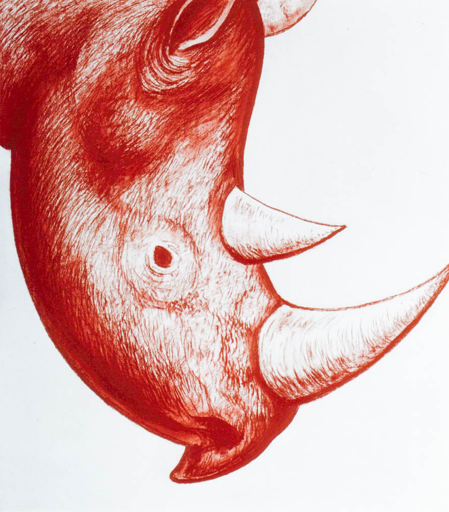 Le rhinocéros (sanguine)  700 x 600