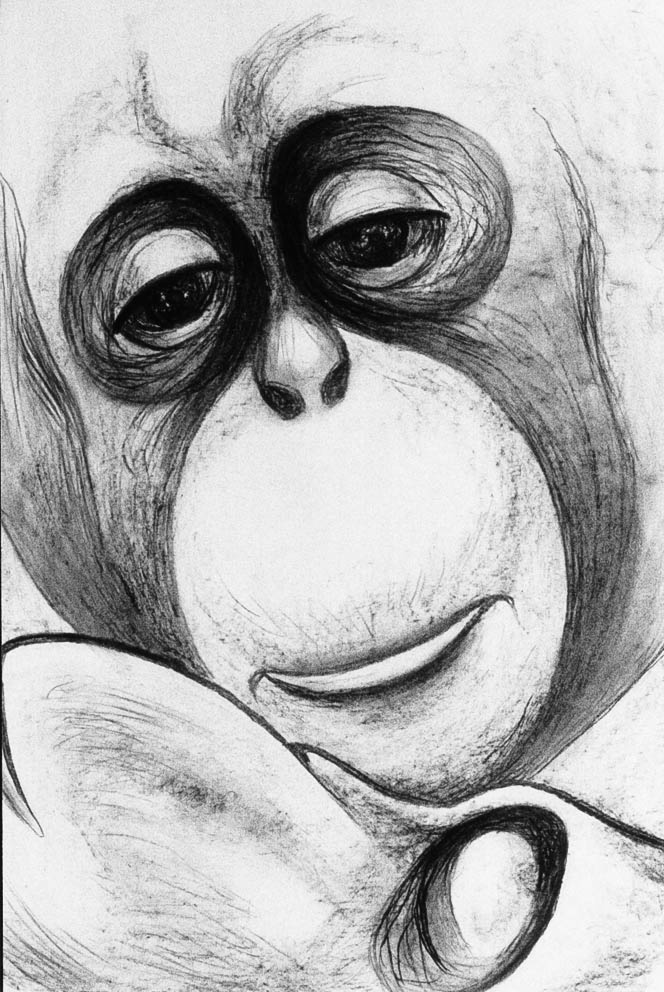 Une dure perte (charbon)  600 x 400