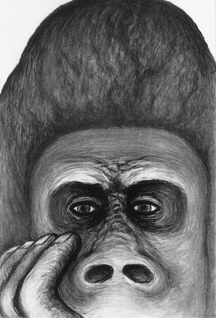 Gorille pensant (charbon)  600 x 400